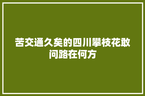 苦交通久矣的四川攀枝花敢问路在何方