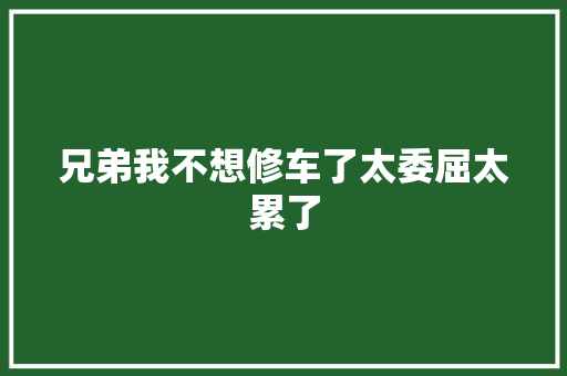 兄弟我不想修车了太委屈太累了