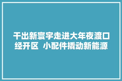 干出新寰宇走进大年夜渡口经开区  小配件撬动新能源汽车大年夜市场