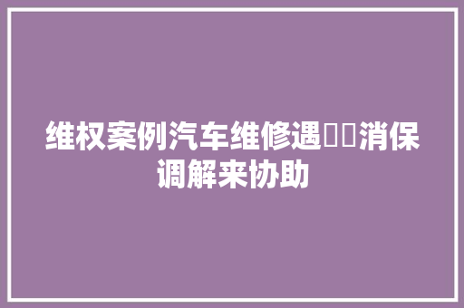 维权案例汽车维修遇轇轕消保调解来协助