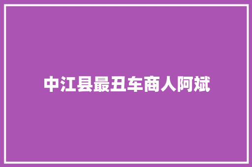 中江县最丑车商人阿斌