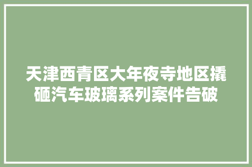 天津西青区大年夜寺地区撬砸汽车玻璃系列案件告破