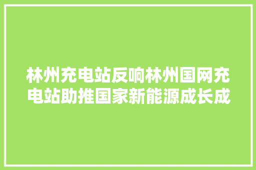 林州充电站反响林州国网充电站助推国家新能源成长成就