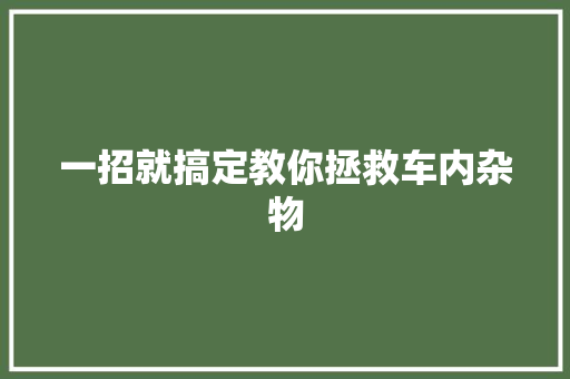 一招就搞定教你拯救车内杂物