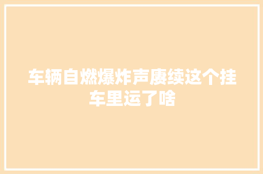 车辆自燃爆炸声赓续这个挂车里运了啥