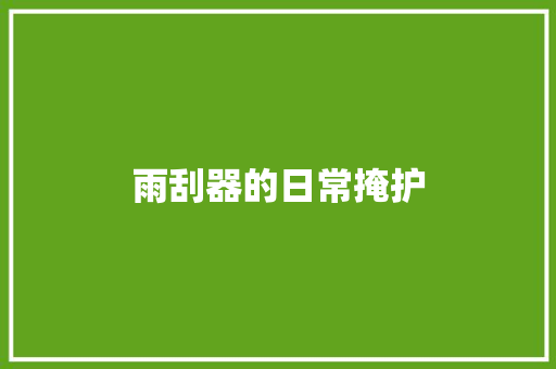 雨刮器的日常掩护