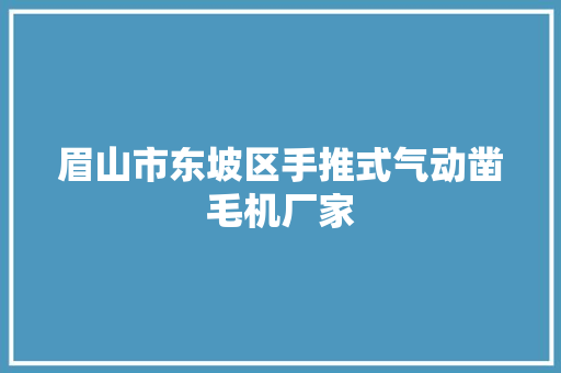 眉山市东坡区手推式气动凿毛机厂家