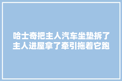 哈士奇把主人汽车坐垫拆了主人进屋拿了牵引拖着它跑