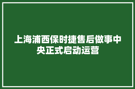 上海浦西保时捷售后做事中央正式启动运营