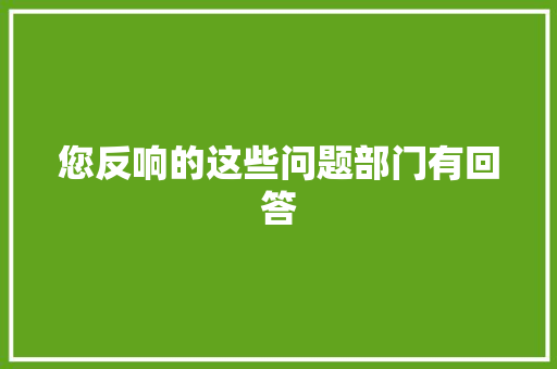 您反响的这些问题部门有回答