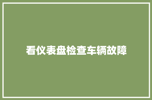 看仪表盘检查车辆故障
