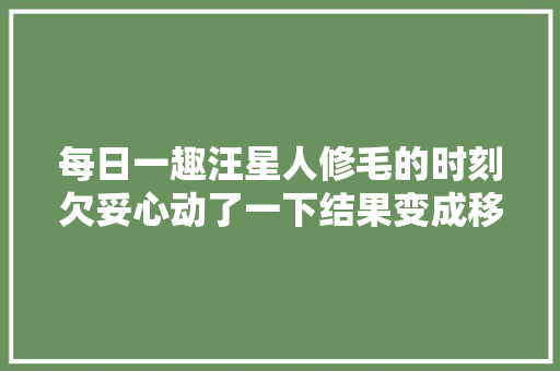 每日一趣汪星人修毛的时刻欠妥心动了一下结果变成移动存钱罐