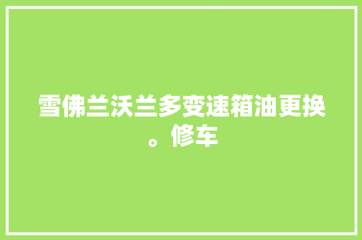 雪佛兰沃兰多变速箱油更换。修车