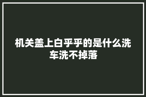 机关盖上白乎乎的是什么洗车洗不掉落