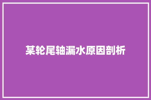 某轮尾轴漏水原因剖析