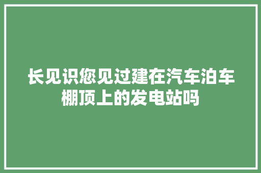长见识您见过建在汽车泊车棚顶上的发电站吗