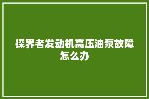 探界者发动机高压油泵故障怎么办