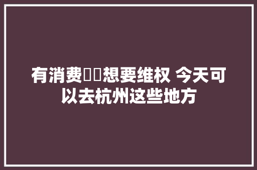 有消费轇轕想要维权 今天可以去杭州这些地方