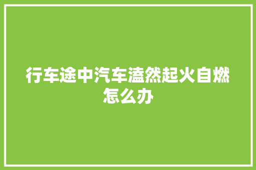 行车途中汽车溘然起火自燃怎么办
