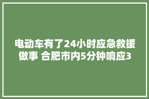 电动车有了24小时应急救援做事 合肥市内5分钟响应30分钟参预
