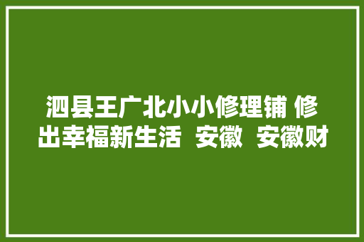 泗县王广北小小修理铺 修出幸福新生活  安徽  安徽财经网