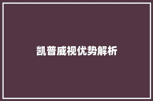 凯普威视优势解析