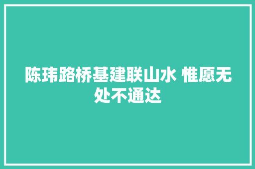 陈玮路桥基建联山水 惟愿无处不通达