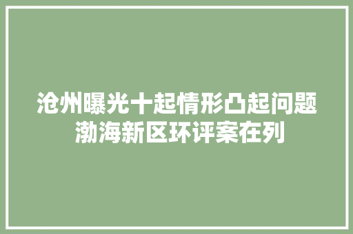 沧州曝光十起情形凸起问题 渤海新区环评案在列