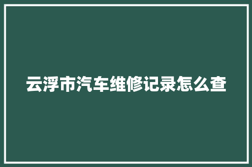 云浮市汽车维修记录怎么查
