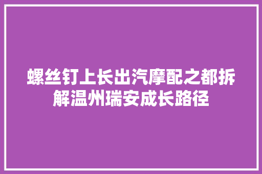 螺丝钉上长出汽摩配之都拆解温州瑞安成长路径