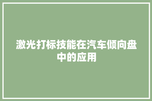 激光打标技能在汽车倾向盘中的应用