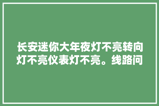 长安迷你大年夜灯不亮转向灯不亮仪表灯不亮。线路问题教程