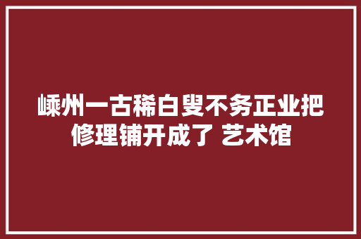 嵊州一古稀白叟不务正业把修理铺开成了 艺术馆