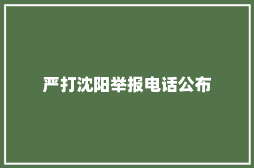 严打沈阳举报电话公布