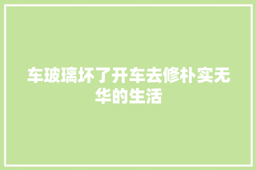 车玻璃坏了开车去修朴实无华的生活