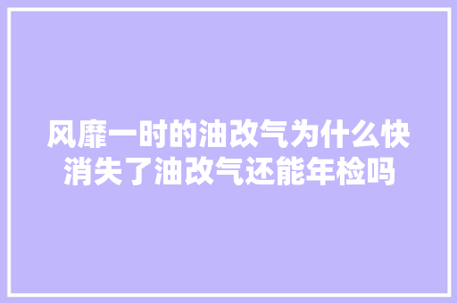 风靡一时的油改气为什么快消失了油改气还能年检吗