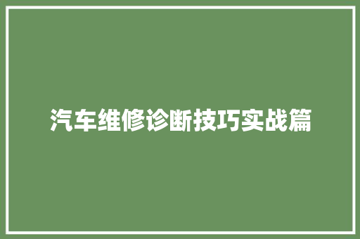 汽车维修诊断技巧实战篇
