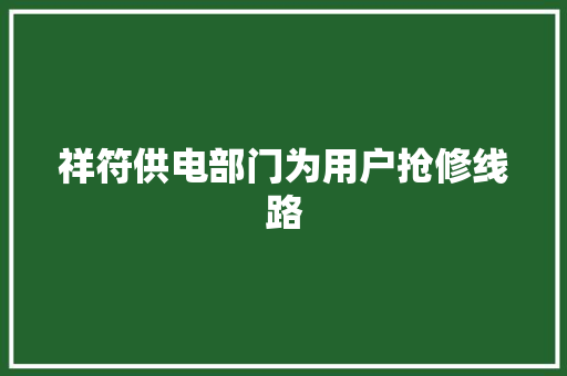 祥符供电部门为用户抢修线路