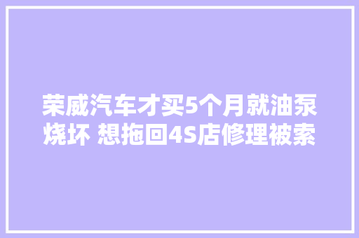 荣威汽车才买5个月就油泵烧坏 想拖回4S店修理被索要路费