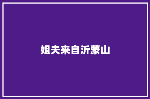 姐夫来自沂蒙山