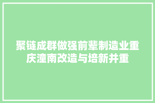 聚链成群做强前辈制造业重庆潼南改造与培新并重