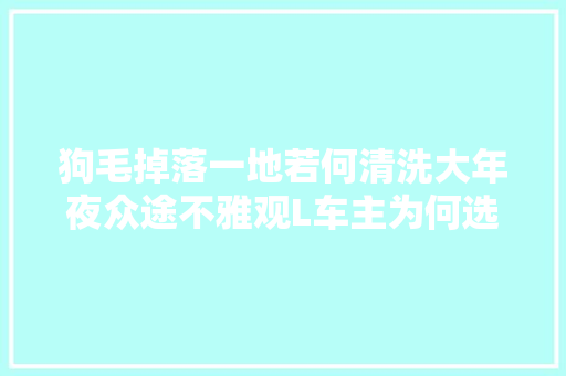 狗毛掉落一地若何清洗大年夜众途不雅观L车主为何选择更换TPE脚垫