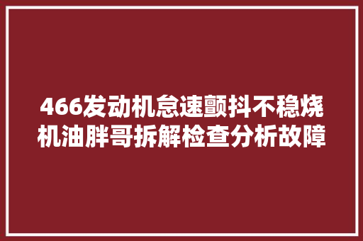 466发动机怠速颤抖不稳烧机油胖哥拆解检查分析故障