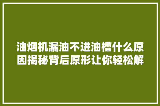 油烟机漏油不进油槽什么原因揭秘背后原形让你轻松解决
