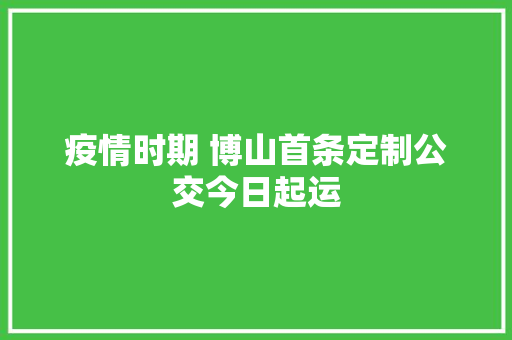 疫情时期 博山首条定制公交今日起运
