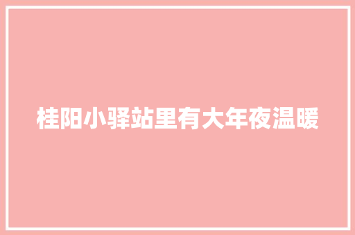 桂阳小驿站里有大年夜温暖