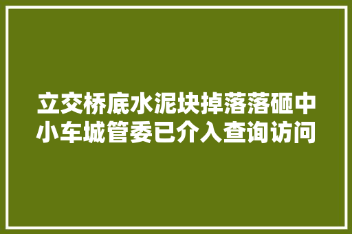 立交桥底水泥块掉落落砸中小车城管委已介入查询访问