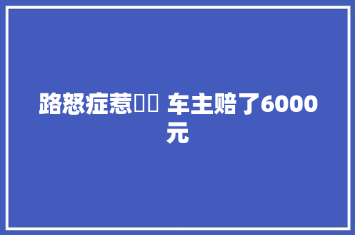 路怒症惹轇轕 车主赔了6000元