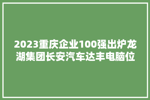 2023重庆企业100强出炉龙湖集团长安汽车达丰电脑位居前三
