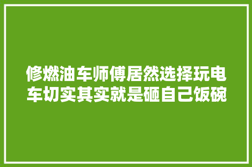 修燃油车师傅居然选择玩电车切实其实就是砸自己饭碗啊